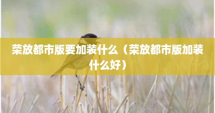 荣放都市版要加装什么（荣放都市版加装什么好）