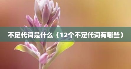 不定代词是什么（12个不定代词有哪些）