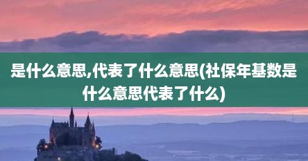 是什么意思,代表了什么意思(社保年基数是什么意思代表了什么)