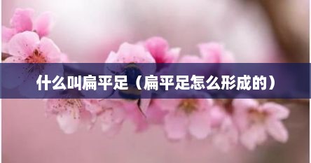 什么是扁平足什么样的脚是扁平足（什么是扁平足扁平足是什么样的）