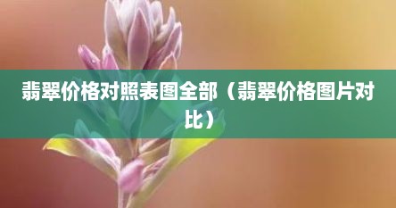 翡翠价格对照表图全部（翡翠价格图片对比）