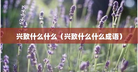 兴致什么什么（兴致什么什么成语）