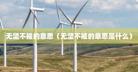 无坚不摧的意思是什么?(一句话)（无坚不摧下一句是什么）