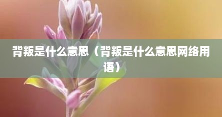 背叛是什么意思（背叛是什么意思网络用语）