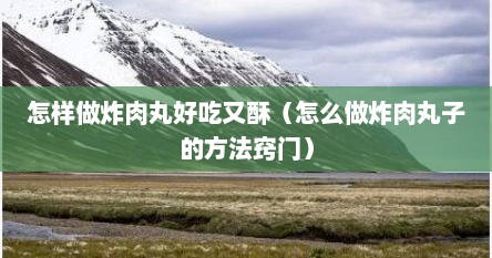 怎样做炸肉丸好吃又酥（怎么做炸肉丸子的方法窍门）