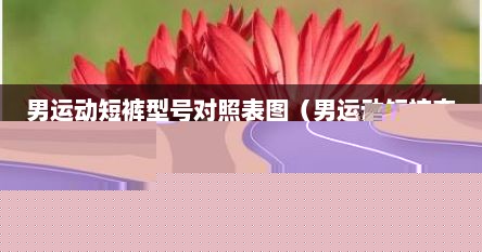 男运动短裤型号对照表图（男运动短裤套装图片）