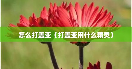 怎么打盖亚（打盖亚用什么精灵）
