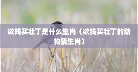 欲残买壮丁是什么生肖（欲钱买壮丁的动物猜生肖）