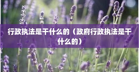 行政执法是干什么的（政府行政执法是干什么的）