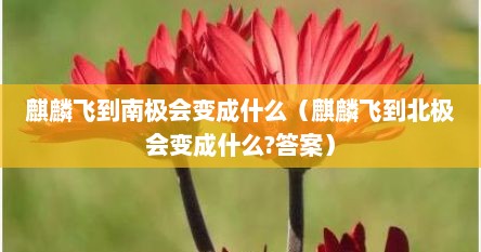 麒麟飞到南极会变成什么（麒麟飞到北极会变成什么?答案）