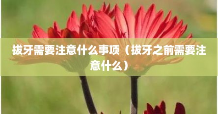 拔牙需要注意什么事项(拔牙之前需要注意什么)
