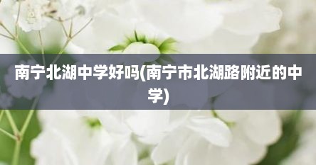南宁北湖中学好吗(南宁市北湖路附近的中学)