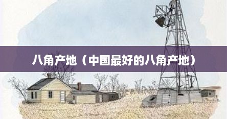 八角产地（中国最好的八角产地）