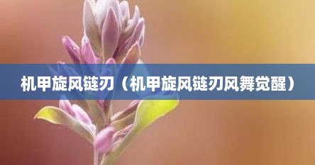 机甲旋风链刃（机甲旋风链刃风舞觉醒）