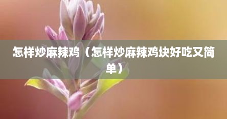 怎样炒麻辣鸡（怎样炒麻辣鸡块好吃又简单）