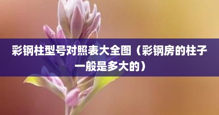 彩钢柱型号对照表大全图（彩钢房的柱子一般是多大的）