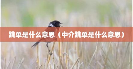 跳单是什么意思（中介跳单是什么意思）