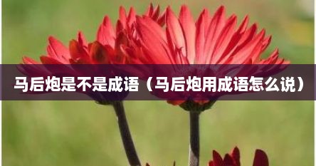 马后炮是不是成语（马后炮用成语怎么说）