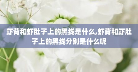 虾背和虾肚子上的黑线是什么,虾背和虾肚子上的黑线分别是什么呢