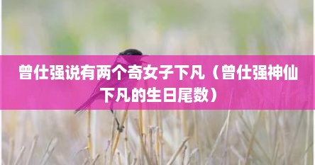 曾仕强说有两个奇女子下凡（曾仕强神仙下凡的生日尾数）