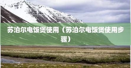 苏泊尔电饭煲使用（苏泊尔电饭煲使用步骤）