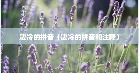 凄冷的拼音（凄冷的拼音和注释）