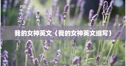 我的女神英文（我的女神英文缩写）