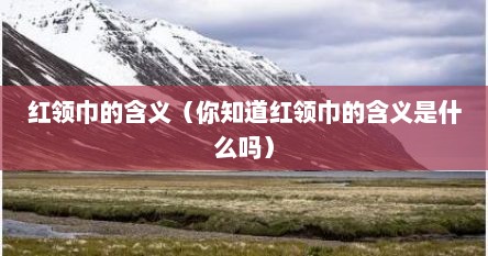 红领巾的含义（你知道红领巾的含义是什么吗）