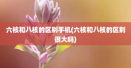 六核和八核的区别手机(六核和八核的区别很大吗)
