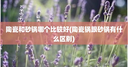 陶瓷和砂锅哪个比较好(陶瓷锅跟砂锅有什么区别)