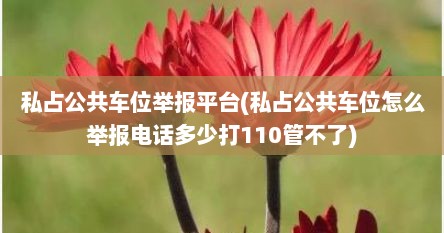 私占公共车位举报平台(私占公共车位怎么举报电话多少打110管不了)