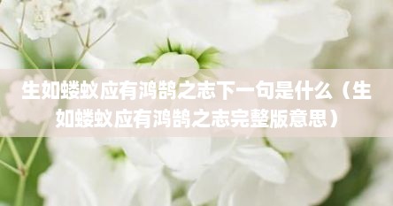 生如蝼蚁应有鸿鹄之志下一句是什么（生如蝼蚁应有鸿鹄之志完整版意思）