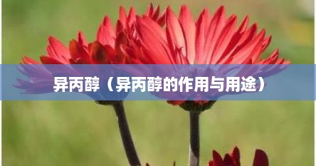 异丙醇（异丙醇的作用与用途）
