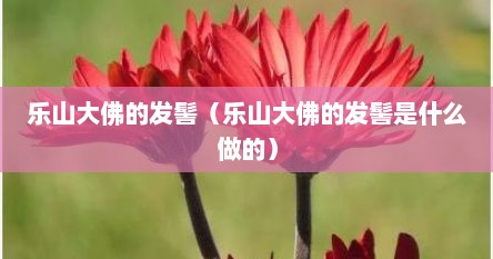 乐山大佛的发髻（乐山大佛的发髻是什么做的）