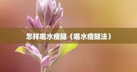 怎样喝水瘦腿（喝水瘦腿法）