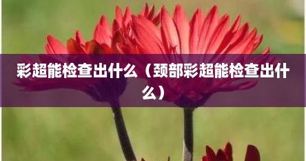 彩超能检查出什么（颈部彩超能检查出什么）