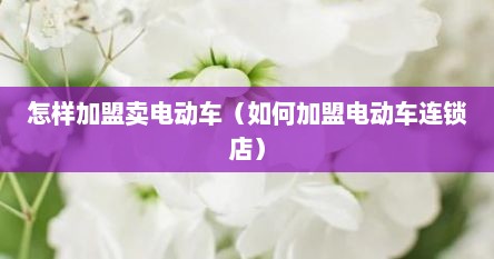 怎样加盟卖电动车（如何加盟电动车连锁店）