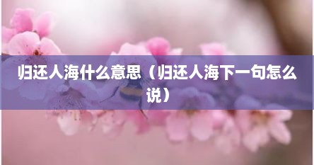 归还人海什么意思（归还人海下一句怎么说）