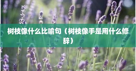 树枝像什么比喻句（树枝像手是用什么修辞）