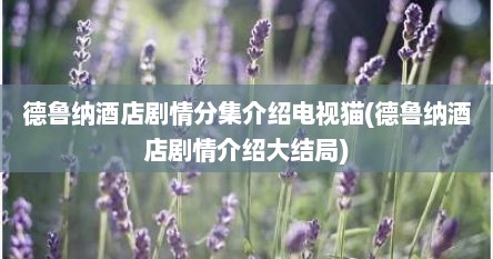德鲁纳酒店剧情分集介绍电视猫(德鲁纳酒店剧情介绍大结局)