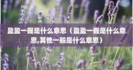 盈盈一握是什么意思（盈盈一握是什么意思,其他一般是什么意思）