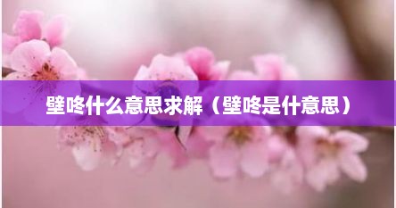 壁咚什么意思求解（壁咚是什意思）
