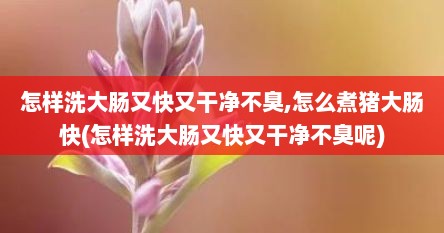 怎样洗大肠又快又干净不臭,怎么煮猪大肠快(怎样洗大肠又快又干净不臭呢)