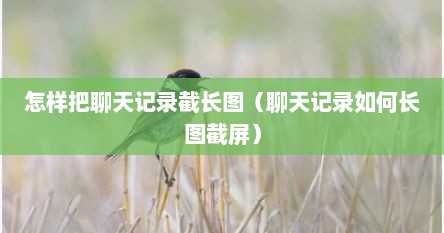 怎样把聊天记录截长图（聊天记录如何长图截屏）