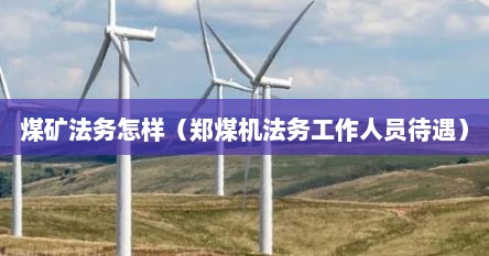 煤矿法务怎样（郑煤机法务工作人员待遇）