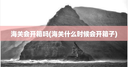 海关会开箱吗(海关什么时候会开箱子)