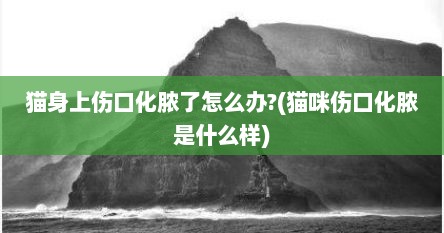 猫身上伤口化脓了怎么办?(猫咪伤口化脓是什么样)
