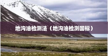 地沟油检测法（地沟油检测国标）