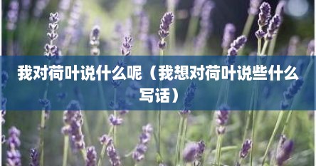 我想对荷叶姐姐说些什么（我想对荷叶说什么呢补充句子）