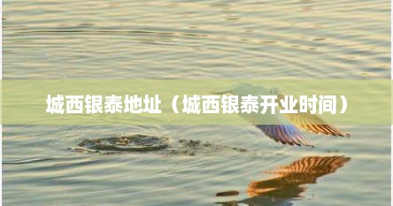 城西银泰地址（城西银泰开业时间）
